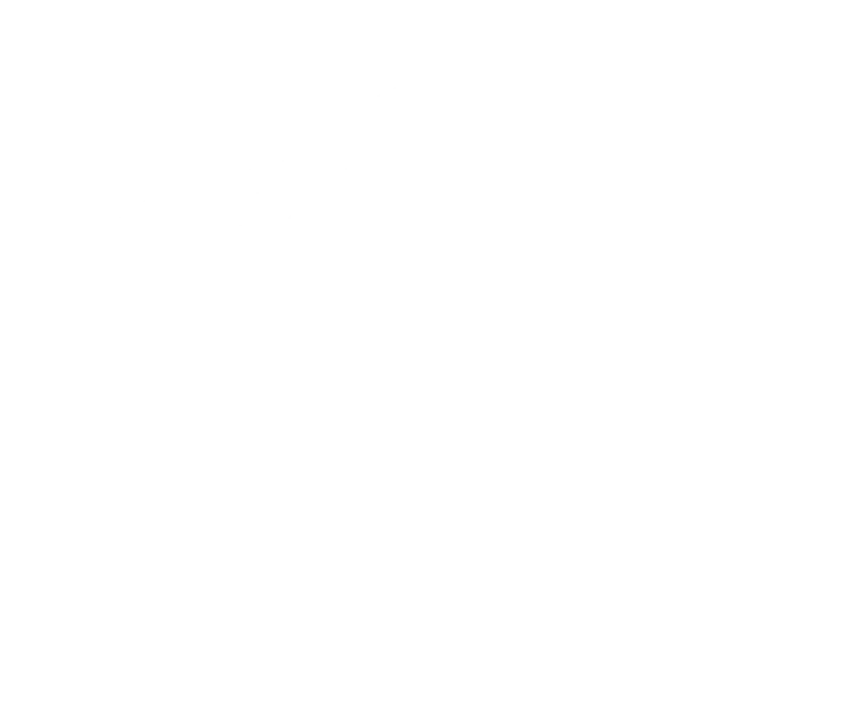 Pit Stop Logo